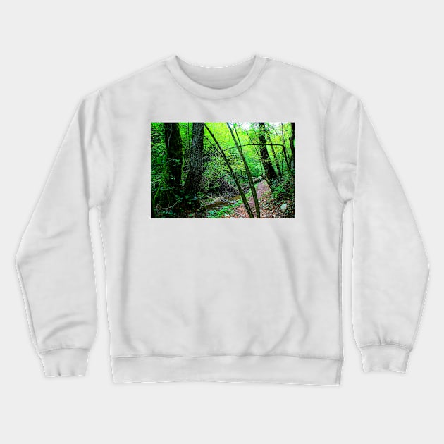 Scenery from Sarnano with the path to Cascata del Pellegrino with river, rocks, tree, trunks, greenery Crewneck Sweatshirt by KristinaDrozd